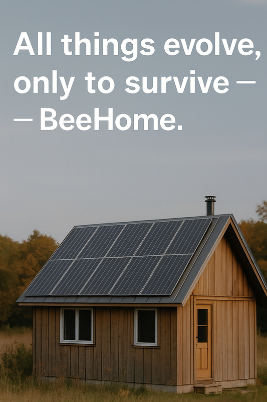 From Knowing the Joy of Fish to BeeHome